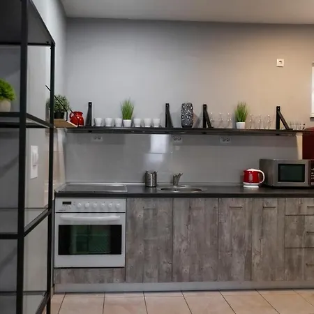 Central Fenix Apartment - Free Private Parking-Fast Wi-Fi Novi Sad Exterior photo